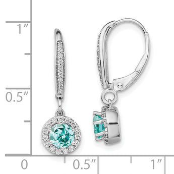 14K White Gold Lab Grown Diamond VS/SI GH, & Cr Paraiba Leverback E
