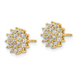 14k 1/2 carat Lab Grown Diamond VS/SI+ G+ Complete Cluster Post Earrings - Birthstone Company
