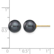 14K Gold Filled 8-9mm Black Round Cultured Freshwater Pearl Stud Earrings - Birthstone Company
