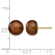 14K Gold Filled 9-10mm Brown Button Cultured Freshwater Pearl Stud Earrings - Birthstone Company
