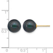 14K Gold Filled 9-10mm Black Round Cultured Freshwater Pearl Stud Earrings - Birthstone Company