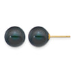 14K Gold Filled 9-10mm Black Round Cultured Freshwater Pearl Stud Earrings - Birthstone Company