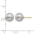 14K Gold Filled 9-10mm Grey Round Cultured Freshwater Pearl Stud Earrings - Birthstone Company