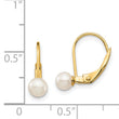 14K Gold Freshwater Pearl Leverback Earrings Polished Elegance