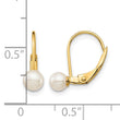 14K Gold Freshwater Pearl Leverback Earrings Polished Elegance - Birthstone Company