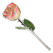 White/Pink Lacquer Dipped Silver Trimmed Real Rose - Sophia Jewelers