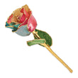 Lacquer Dipped Gold Trimmed Tri-color Real Rose - Sophia Jewelers
