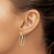 14K Two-tone Polished Fancy Earrings