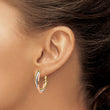 14K Tri-color Polished Hoop Earrings