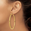 14k Polished 3mm Polished Hoop Earrings