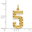 14k Large Brushed Diamond-cut Number 5 Charm