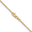 14K Gold Women's Polished Cable Chain with Lobster Clasp - 20