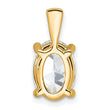 14k 3 carat Lab Grown Diamond VS+ F+ Oval Complete Four Prong Pendant - Birthstone Company
