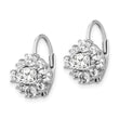 Cheryl M Sterling Silver Rhodium-plated Princess-cut and Brilliant-cut CZ Leverback Earrings - Birthstone Company