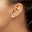 Cheryl M Sterling Silver Rhodium-plated Brilliant-cut CZ Stud Post Earrings - Birthstone Company