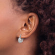 Sterling Silver Rhodium-plated Polished CZ Leverback Earrings - Birthstone Company