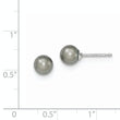 Sterling Silver Rhodium Plated 6-7mm Grey Round Freshwater Cultured Pearl Post Stud Earrings