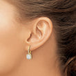 Sterling Silver Gold-tone Polished Princess Cut CZ Halo Leverback Earrings - Birthstone Company