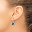 Sterling Silver Rhodium-plated Polished CZ Paw Print Leverback Earrings - Birthstone Company