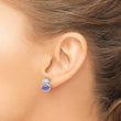 Sterling Silver RH-plated Brushed/Polished Amethyst Earrings - Birthstone Company