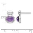 Sterling Silver RH-plated Brushed/Polished Amethyst Earrings - Birthstone Company
