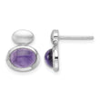 Sterling Silver RH-plated Brushed/Polished Amethyst Earrings - Birthstone Company