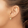 Sterling Silver Gold-tone CZ Heart Leverback Earrings - Birthstone Company