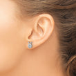 Sterling Silver Flash Platinum-plated CZ Ladybug Post Earrings