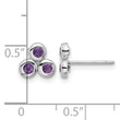 Sterling Silver Rhodium-plated Amethyst Post Earrings - Birthstone Company
