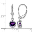 Sterling Silver Rhodium Plated 6mm Round Amethyst Leverback Earrings - Birthstone Company
