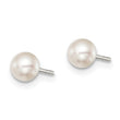 Sterling Silver Rhodium-Plated 4-5mm White Freshwater Cultured Button Pearl Stud Earrings - Birthstone Company