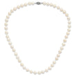 Sterling Silver Rhodium-plated 8-9mm White Near-Round Freshwater Cultured Pearl 16 inch Necklace - Birthstone Company