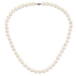 Sterling Silver Rhodium-plated 11-12mm White Near-Round Freshwater Cultured Pearl 18 inch Necklace - Birthstone Company