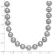 Sterling Silver Rhodium-plated 7-8mm Grey Near-Round Freshwater Cultured Pearl 7.25 inch Bracelet - Birthstone Company