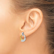 Sterling Silver Rh-p and Gold-plated CZ Brushed Dangle Earrings - Birthstone Company