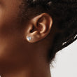 White Ice Sterling Silver Rhodium-plated Diamond Heart Post Earrings - Birthstone Company