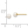 14K Gold Freshwater Pearl Stud Earrings Polished Elegance