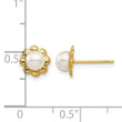 14K Madi K 4-5mm White Button Freshwater Cultured Pearl Post Earrings - Birthstone Company