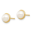 14K Madi K 5-6mm White Button Freshwater Cultured Pearl Post Earrings