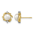 14k Madi K 5-6mm Button White Freshwater Cultured Pearl and .04 Carat Diamond Post Earrings - Birthstone Company