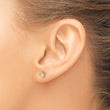 14k Madi K Polished CZ Dolphin Post Earrings