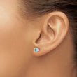 Stainless Steel CZ March Birthstone Polished Post Earrings - Birthstone Company