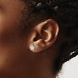 Stainless Steel Polished 6mm Star CZ Stud Post Earrings - Birthstone Company