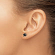 Stainless Steel Polished 6mm Black Star CZ Stud Post Earrings - Birthstone Company