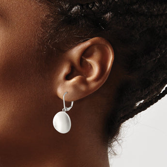 Stainless Steel Polished Curved Disk Leverback Dangle Earrings - Birthstone Company