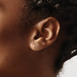 Stainless Steel Polished Rose IP-plated X Post Earrings