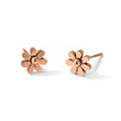Stainless Steel Polished Rose IP-plated Flower Post Earrings - Birthstone Company