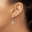 Stainless Steel Polished Shepherds Hook Earrings