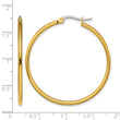 Stainless Steel Gold IP plated 40mm Hoop Earrings - Birthstone Company