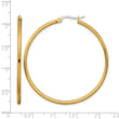 Stainless Steel Gold IP plated 48mm Hoop Earrings - Birthstone Company